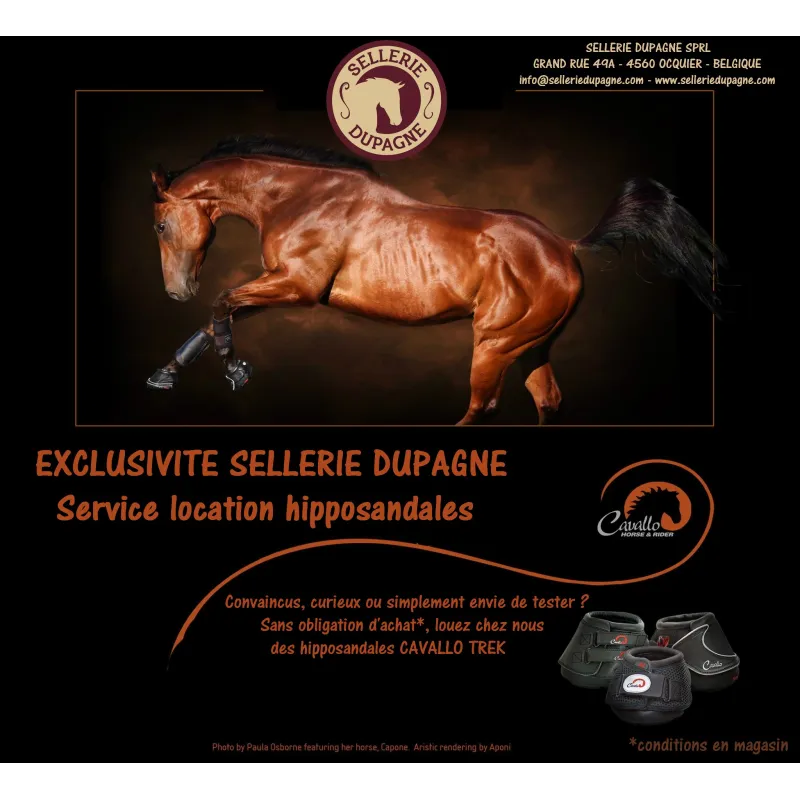 Service Location hipposandales