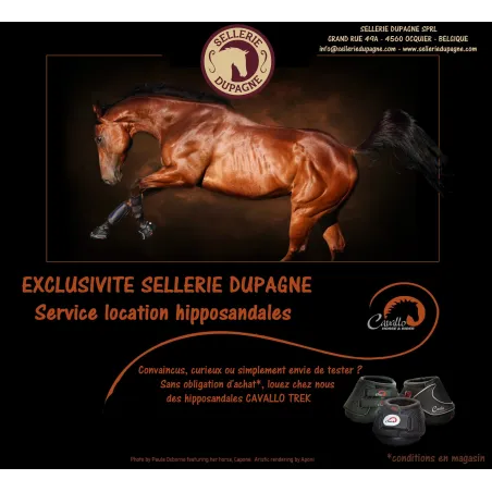 Service Location hipposandales