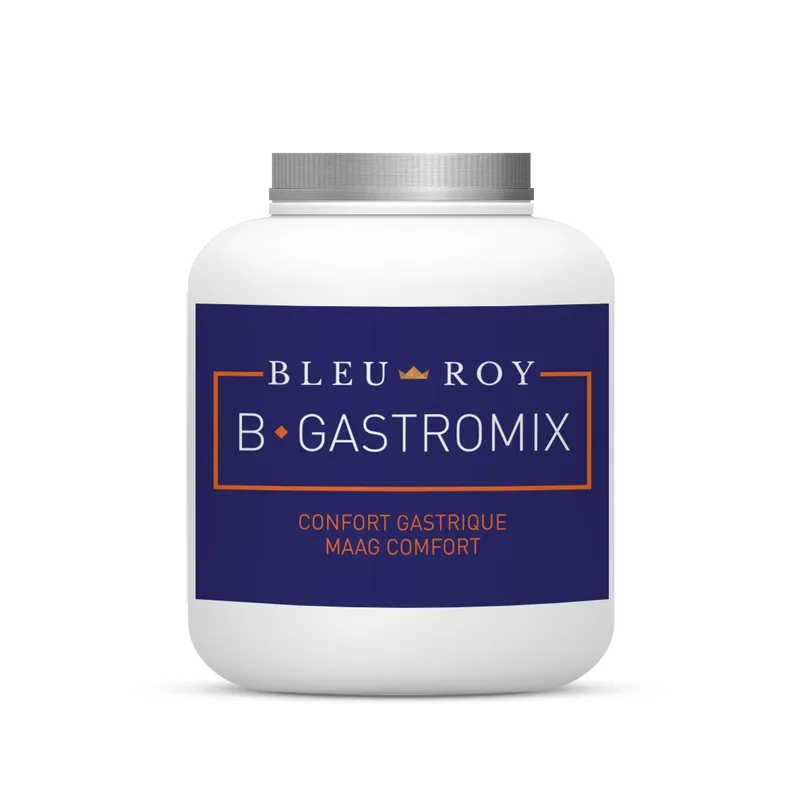 B-GASTROMIX Bleu-Roy 1kg Confort Gastrique