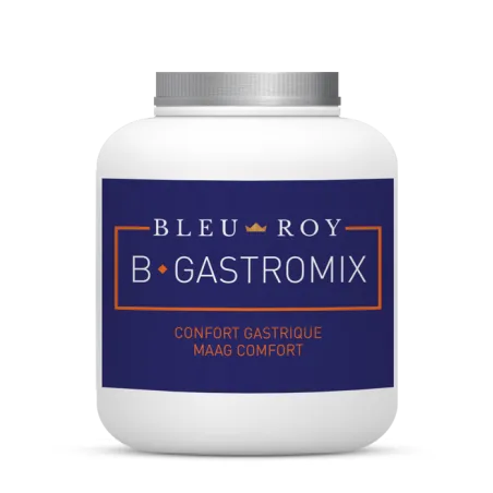 B-GASTROMIX Bleu-Roy 1kg Confort Gastrique