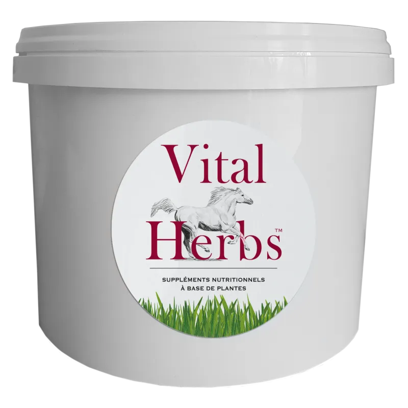 Seau vide plastique Vital Herbs