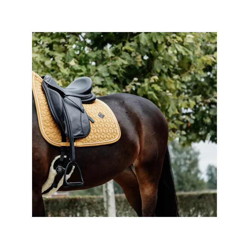 Tapis KENTUCKY