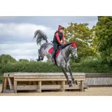 Tapis LeMieux RED CHILLI Classic Suede DRESSAGE