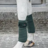 Bandages KENTUCKY VELVET PEARLS VERT SAPIN