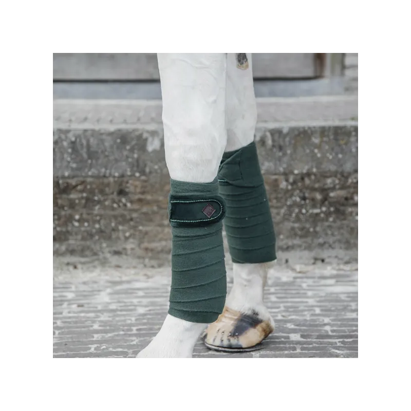 Bandages KENTUCKY VELVET PEARLS VERT SAPIN