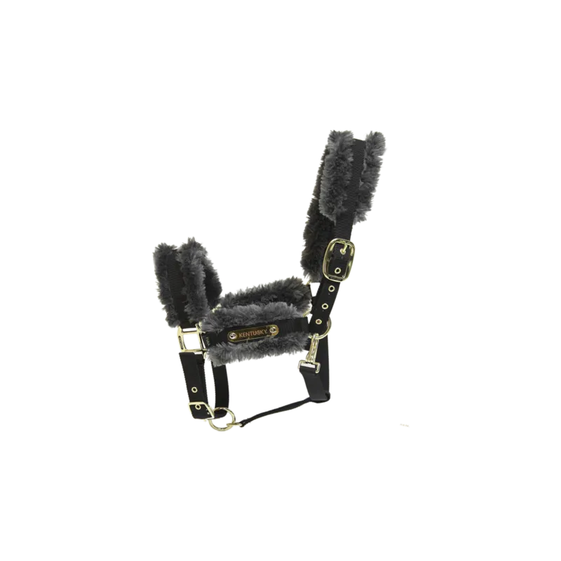 licol nylon / mouton synthétique Kentucky Gris