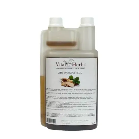 Vital'Immune PLUS 1L Vital Herbs