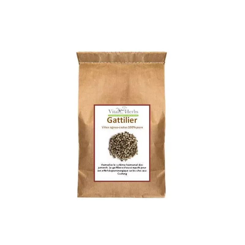 Gattilier Vitex Agnus-Castus Vital Herbs
