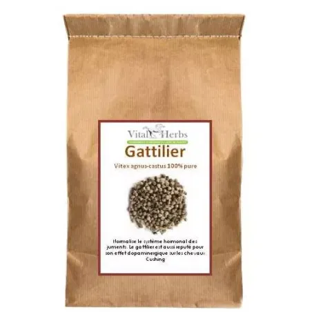 Gattilier Vitex Agnus-Castus Vital Herbs