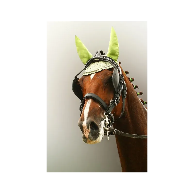 Harnais Marathon Luxe cuir IDEAL