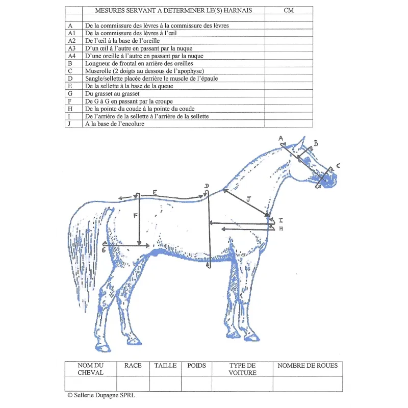 TABLEAU DES MESURES