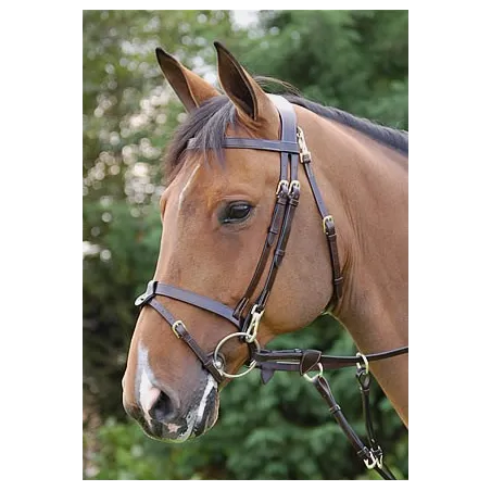 Bridon cuir plat DYON Working