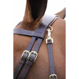 Bridon cuir plat DYON Working