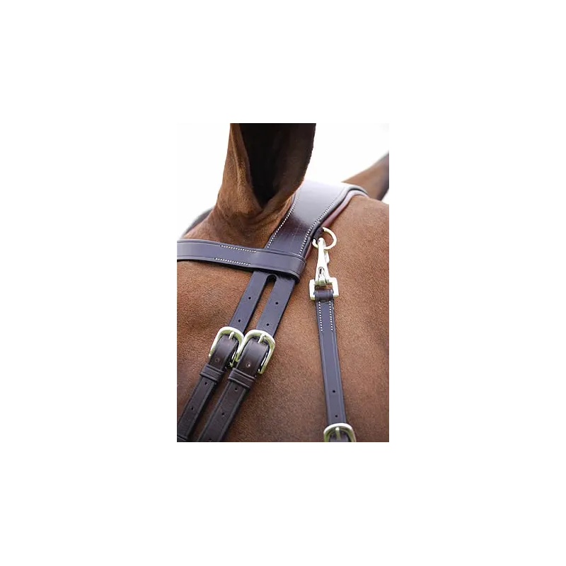 Bridon cuir plat DYON Working