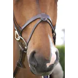 Bridon cuir plat DYON Working