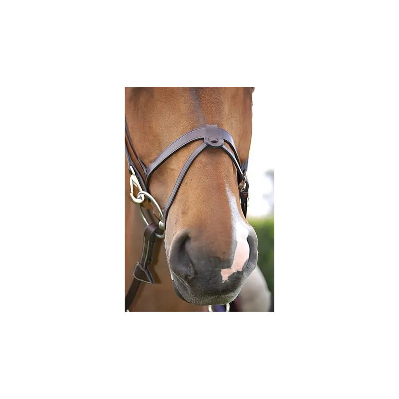 Bridon cuir plat DYON Working