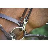 Bridon cuir plat DYON Working
