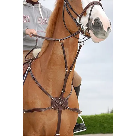 Collier de chasse croisé DYON Working