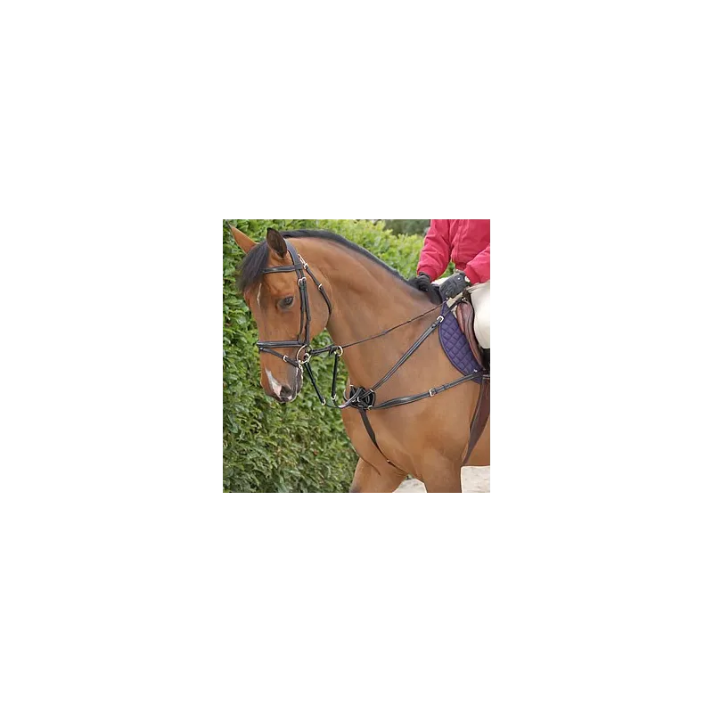 Collier de chasse croisé DYON Working