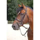 Bridon muserolle large DYON Working