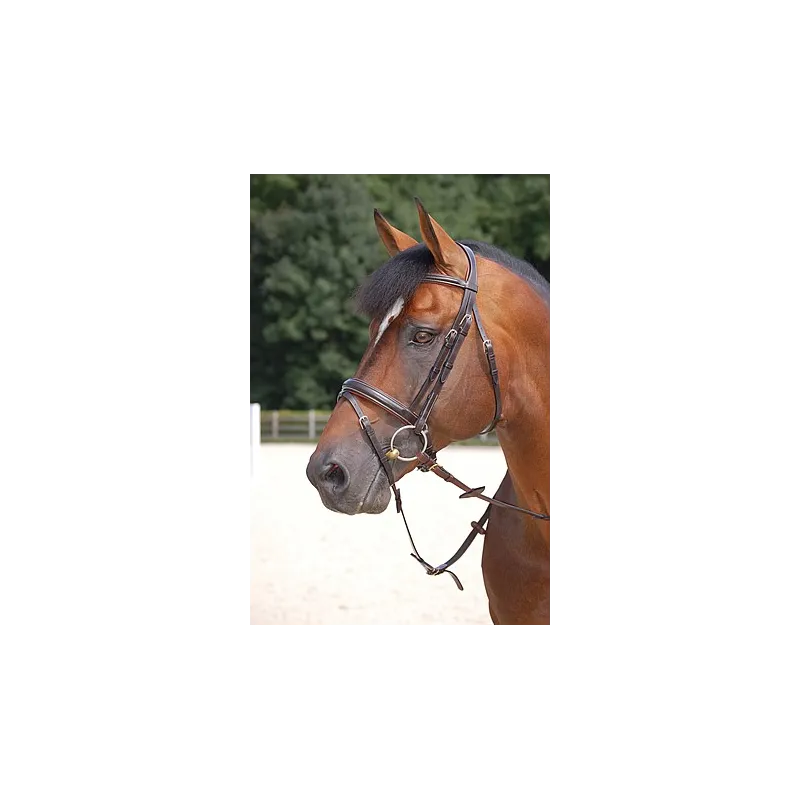 Bridon muserolle large DYON Working