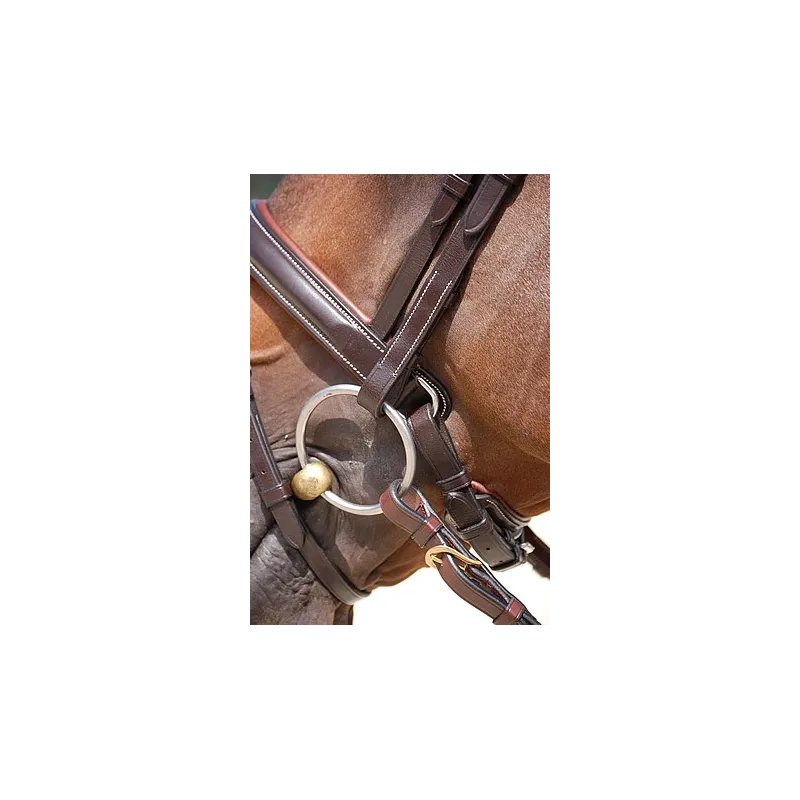 Bridon muserolle large DYON Working