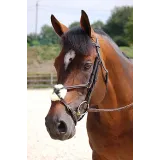 Bridon muserolle croisée DYON Working