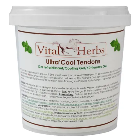 Ultra'Cool tendons gel Vital Herbs