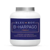 B-HARPAGO Bleu-Roy 1kg articulations