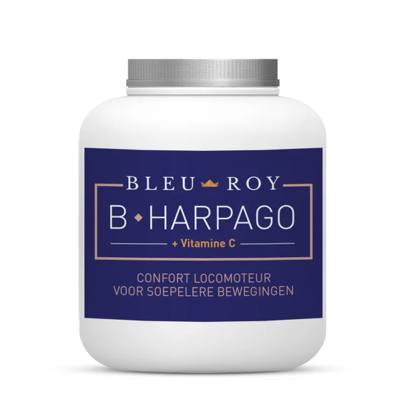 B-HARPAGO Bleu-Roy 1kg articulations