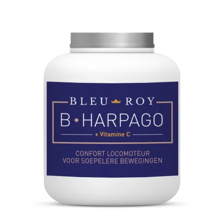 B-HARPAGO Bleu-Roy 1kg articulations
