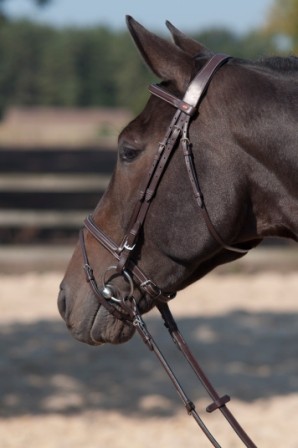Briderie & accessoires